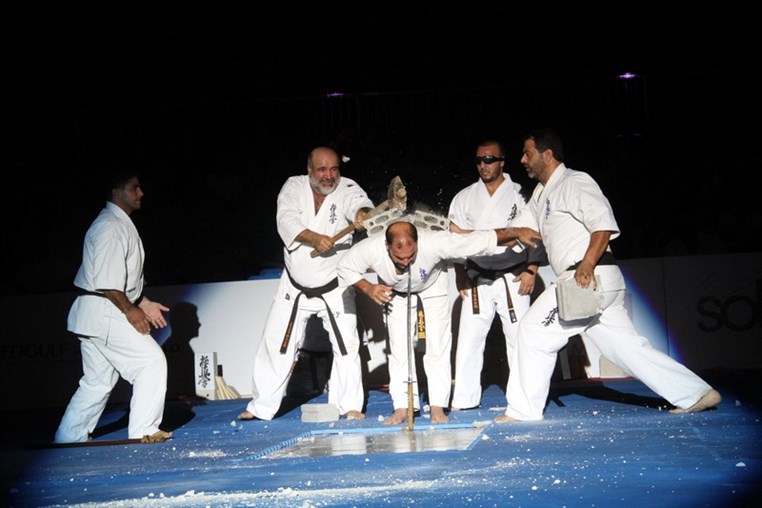 Martial Arts Festival